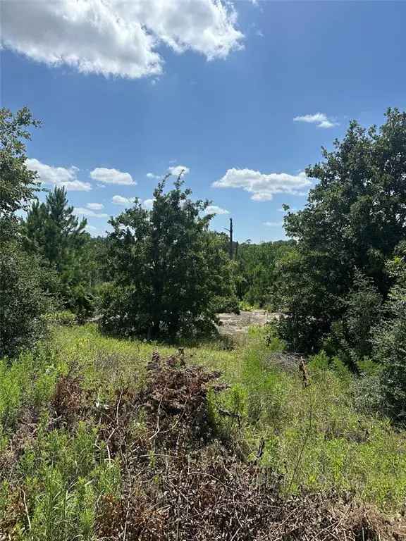 Land For Sale in 164, Manawianui Drive, Texas