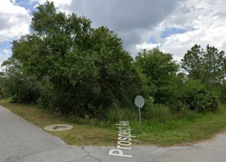 Land For Sale in 407, West 9th Street, Lehigh Acres, Florida