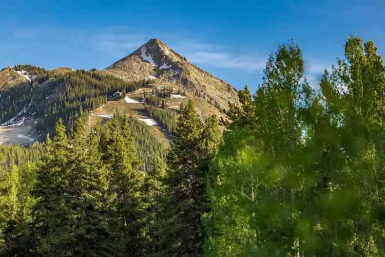 Land For Sale in Mount Crested Butte, Colorado