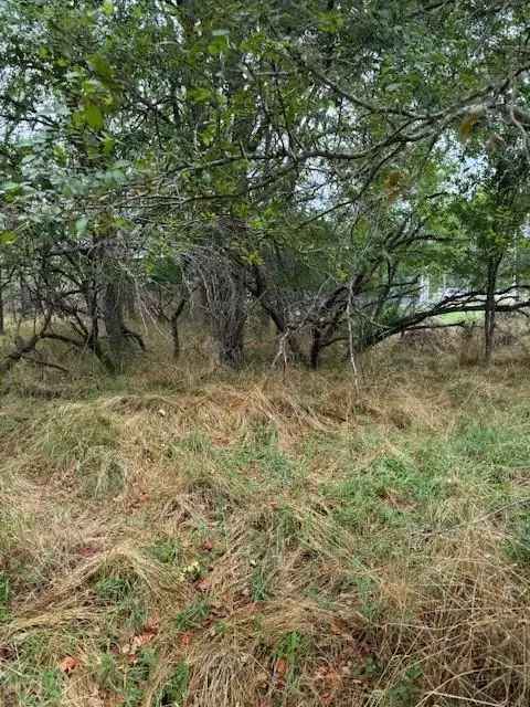 Land For Sale in 113, East Keomuku Lane, Texas