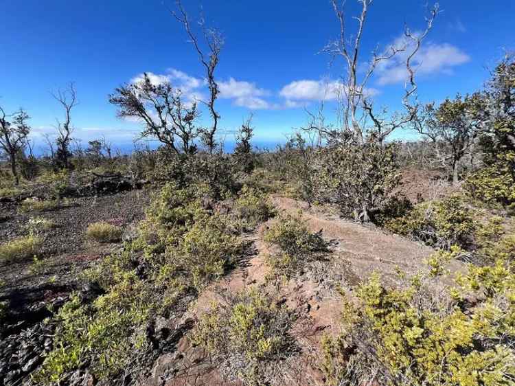 Land For Sale in Hawaiian Ocean View, Hawaii