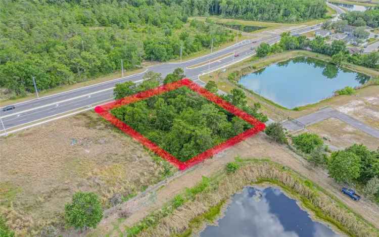 Land For Sale in Topaz Trail, Kissimmee, Florida