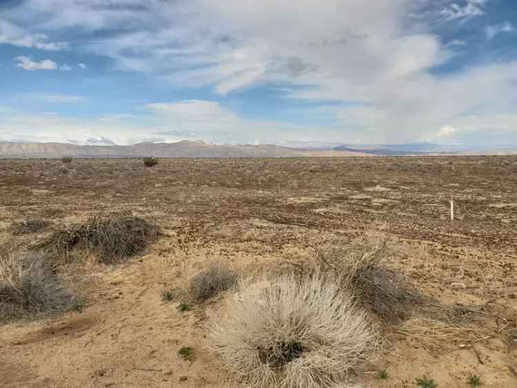 Land For Sale in California City, California