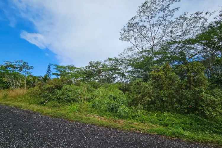 Land For Sale in Keaau, Hawaii