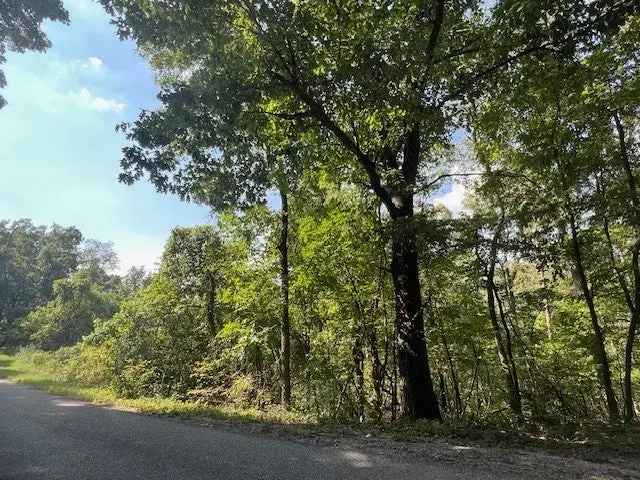 Land For Sale in Arkansas