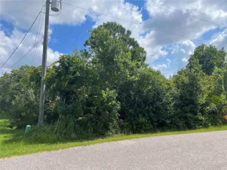 Land For Sale in Palm Coast, Florida