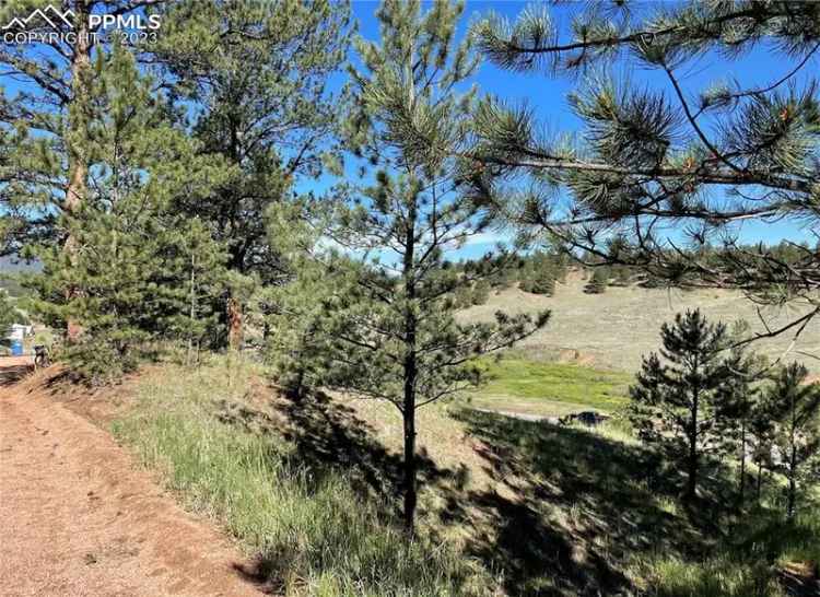 Land For Sale in Florissant, Colorado