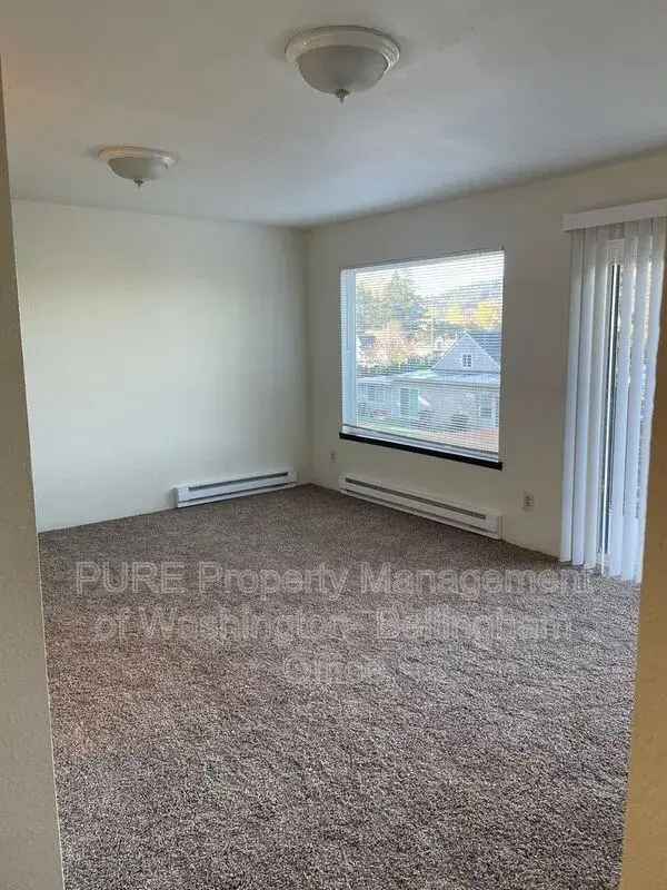 2 Bedroom Apartment in Bellingham WA