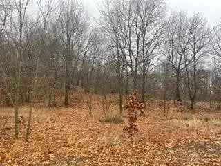 Land For Sale in Michigan City, Indiana