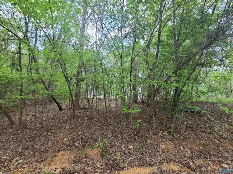 Land For Sale in 342, Monte Sano Drive, Scottsboro, Alabama