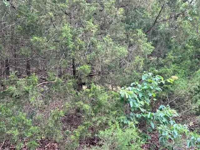 Land For Sale in Arkansas