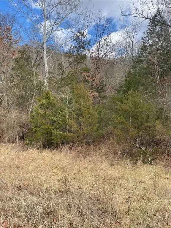 Land For Sale in 22, Hillside Avenue, Eureka Springs, Arkansas