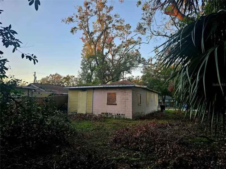 Single-family house For Sale in 1920, West Saint John Street, Tampa, Florida