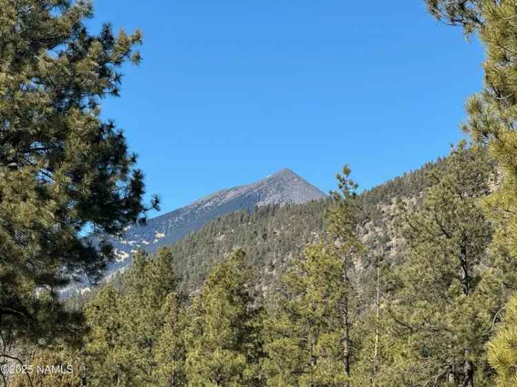 Land For Sale in Flagstaff, Arizona