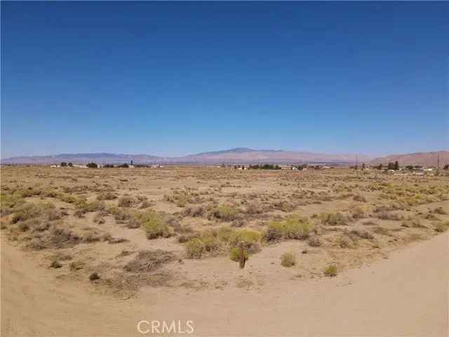 Land For Sale in Rosamond, California