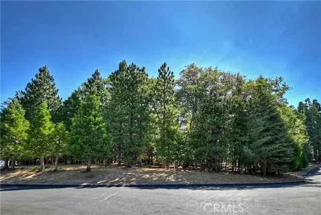 Land For Sale in Lake Arrowhead, California