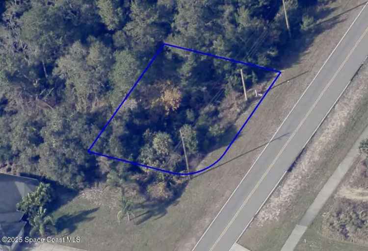 Land For Sale in Titusville, Florida