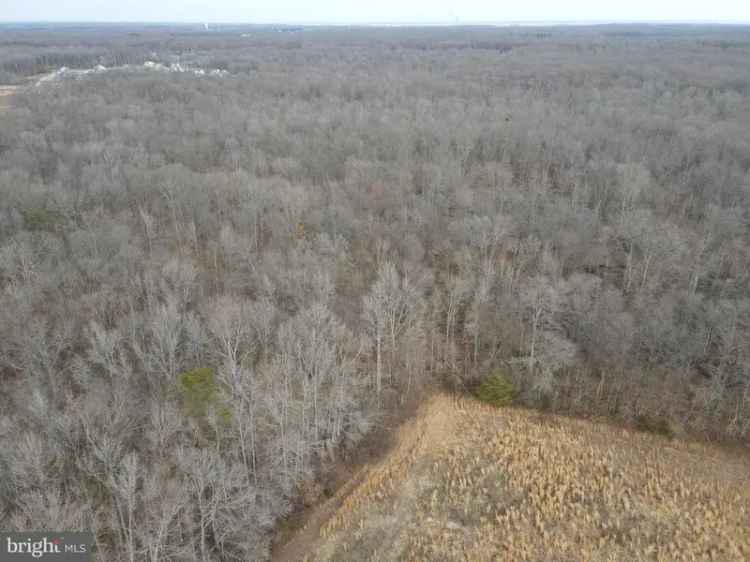 Land For Sale in Townsend, Delaware