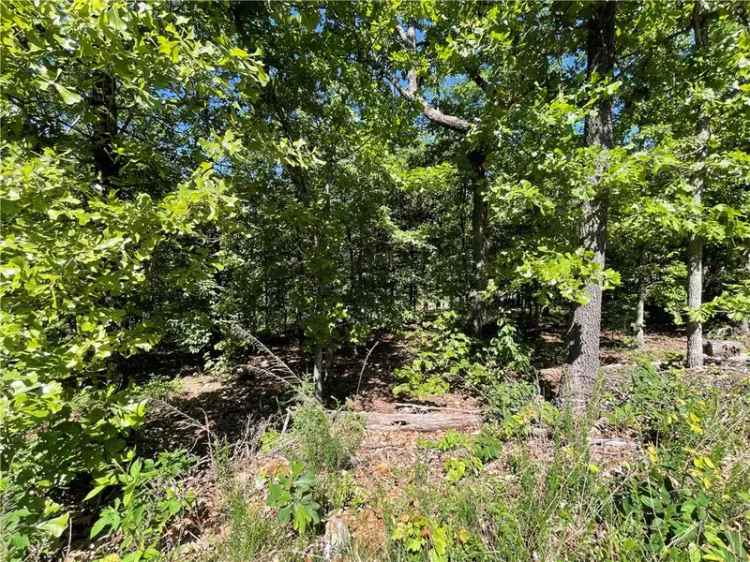 Land For Sale in Bella Vista, Arkansas