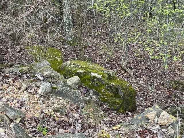 Land For Sale in Arkansas