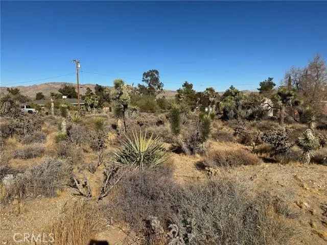 Land For Sale in 56434, Desert Gold Drive, Yucca Valley, California