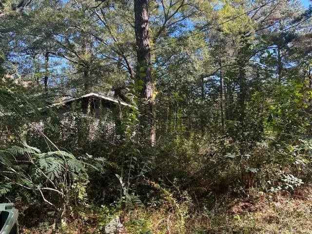 Land For Sale in 418, Ellis Street, Andalusia, Alabama