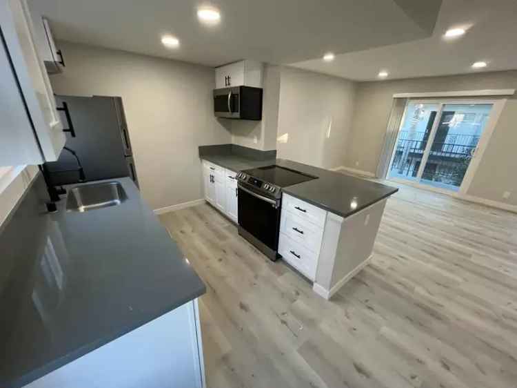 Newly Remodeled 1br Apartment Unit for Rent - Brand New Appliances