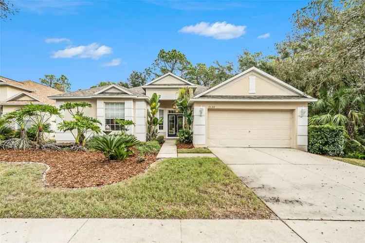 Single-family house For Sale in 19157, Meadow Pine Drive, Tampa, Florida