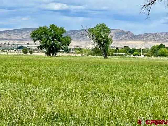 Land For Sale in Colorado