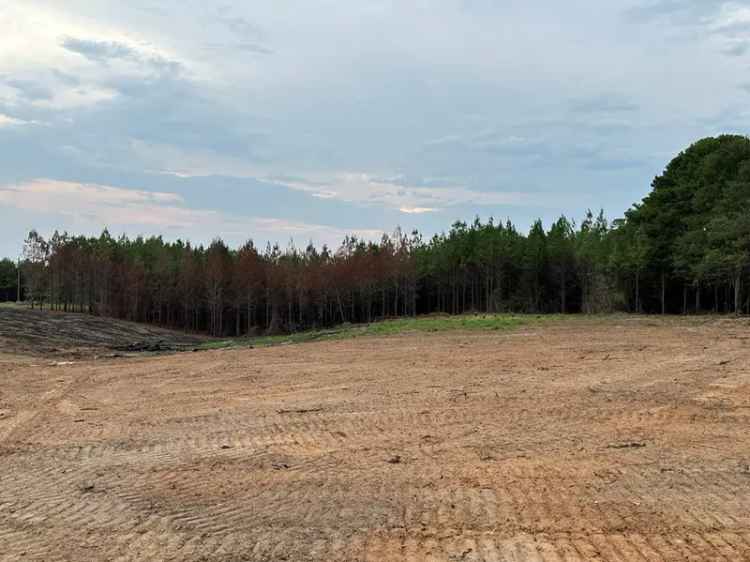 Land For Sale in 79, Bates Avenue, Mississippi