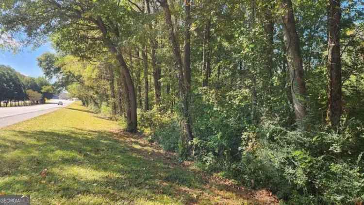 Land For Sale in Newnan, Georgia