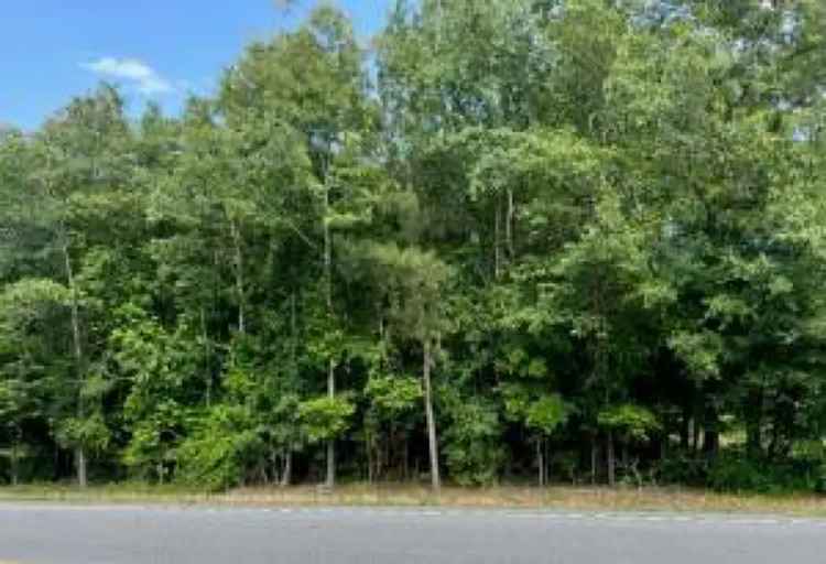 Land For Sale in South Carolina