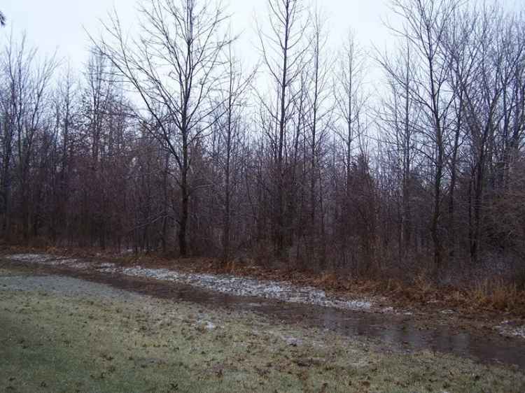 Land For Sale in Marion, Illinois