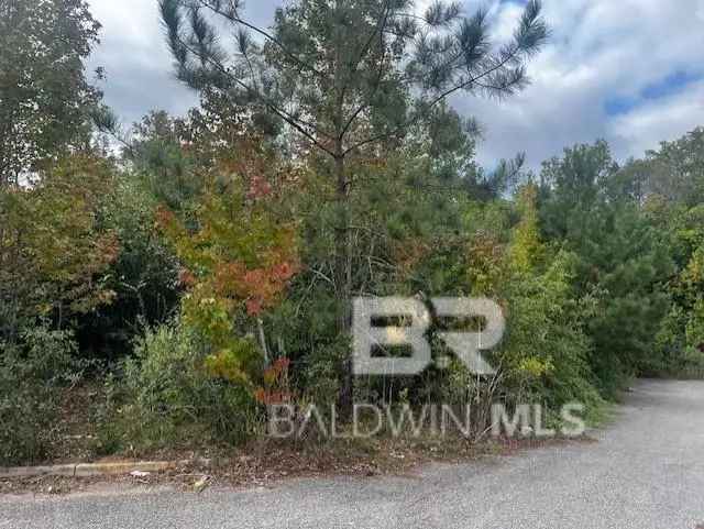 Land For Sale in Prichard, Alabama