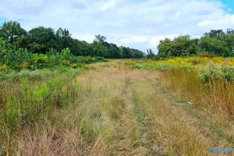 Land For Sale in Decatur, Alabama