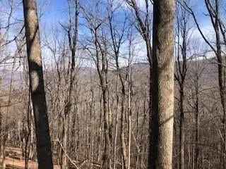 Land For Sale in Georgia