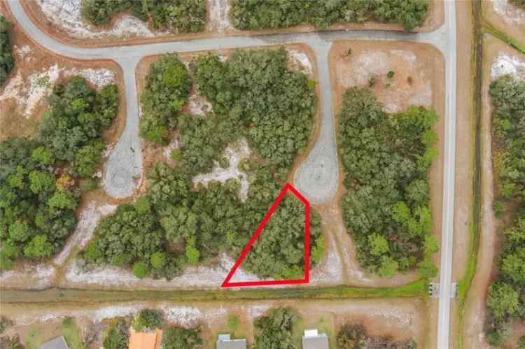 Land For Sale in Kissimmee, Florida