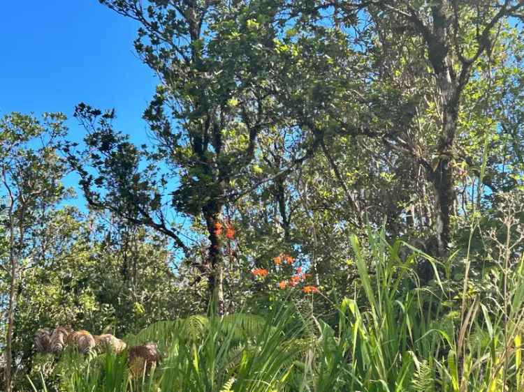 Land For Sale in Fern Forest, Hawaii