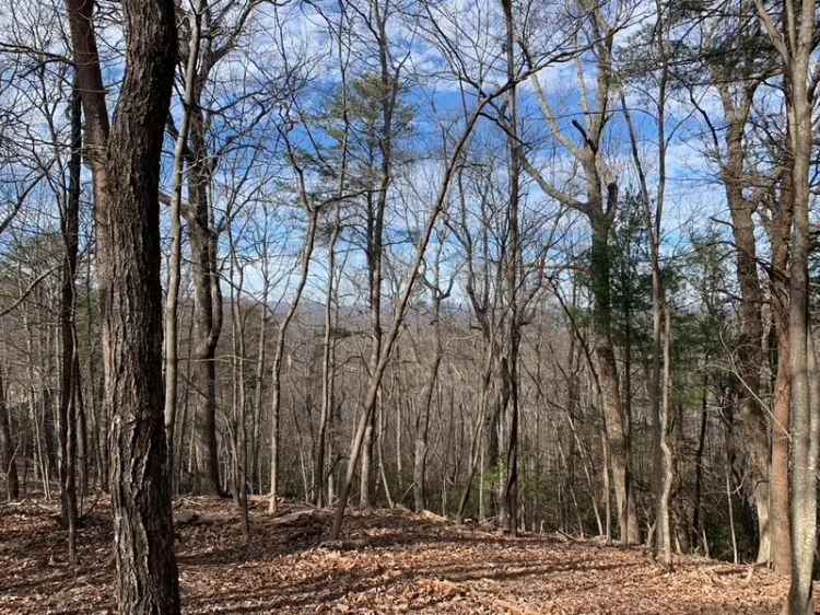 Land For Sale in Georgia