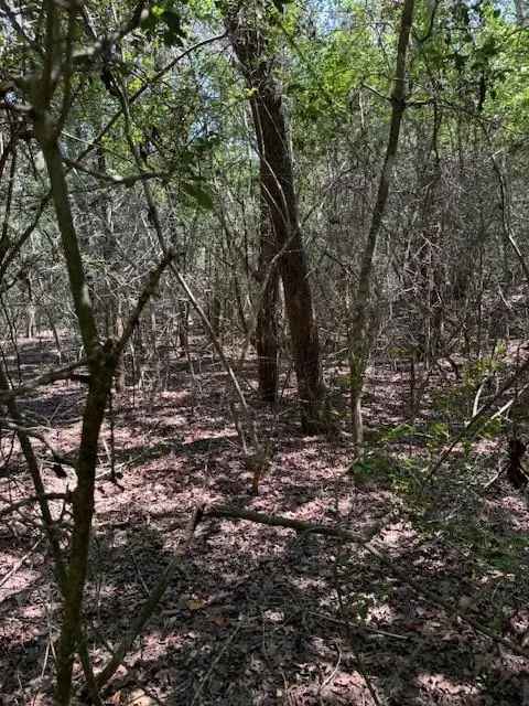 Land For Sale in 129, Helemano Drive, Texas