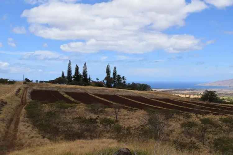 Land For Sale in Kula, Hawaii