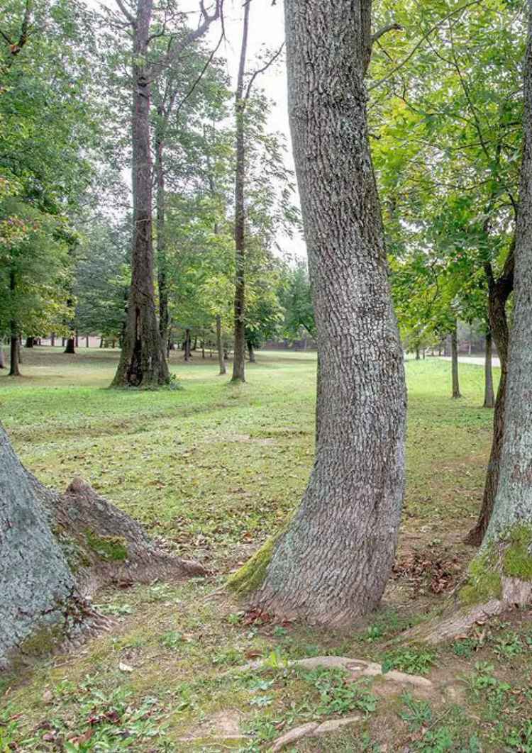 Land For Sale in Kentucky