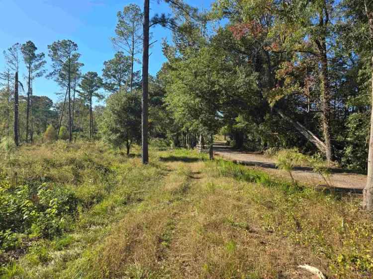 Land For Sale in Dublin, Georgia