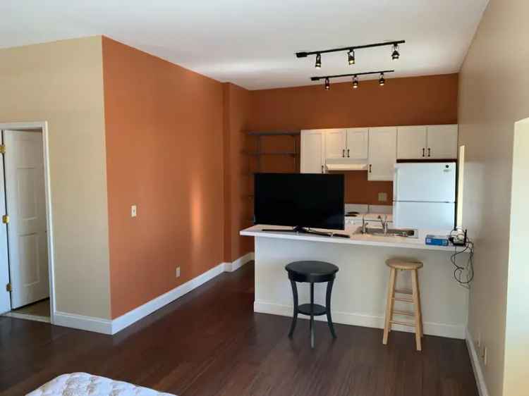 Luxury Downtown Watertown Studio Apartment for Rent