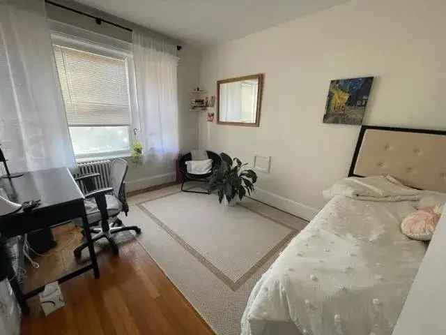 5 Bedroom Apartment Near Boston University