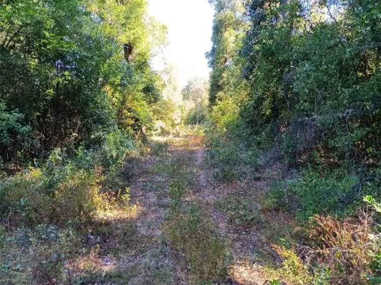 Land For Sale in Grand Bay, Alabama