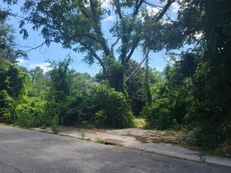 Land For Sale in 4187, Buena Vista Avenue, Macon, Georgia