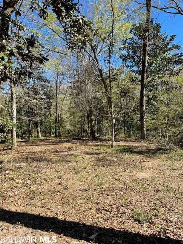 Land For Sale in Fairhope, Alabama