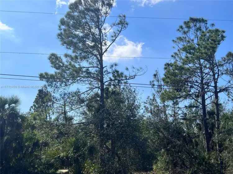 Land For Sale in Port Charlotte, Florida