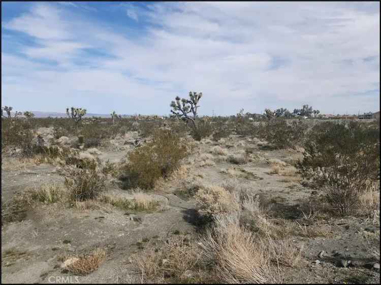 Land For Sale in Piñon Hills, California